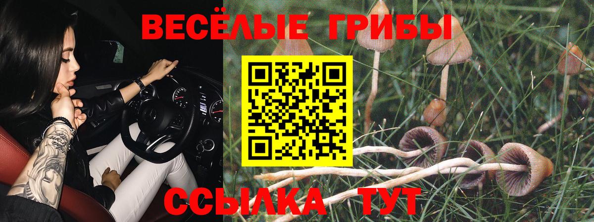 Галлюциногенные грибы GOLDEN TEACHER Саянск